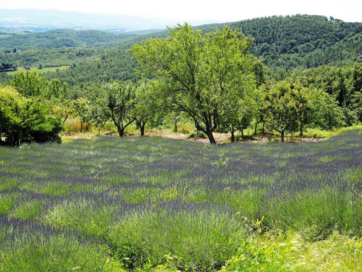 Sassi Bianchi ξενώνας Sensano Εξωτερικό φωτογραφία